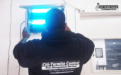 Pest Control Technician servicing an Electronic Fly Trap.