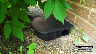 A rodent bait station in yard.