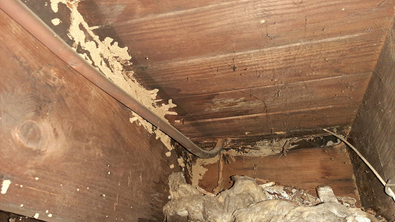 Termite evidence on a floor joist.