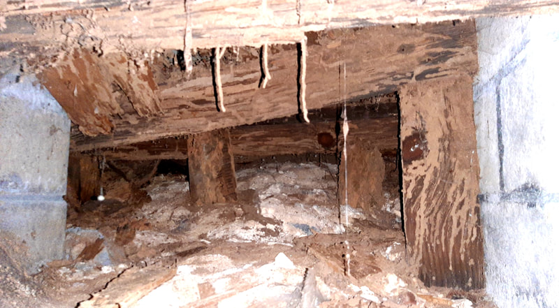 Termite mud tubes in a crawl space.