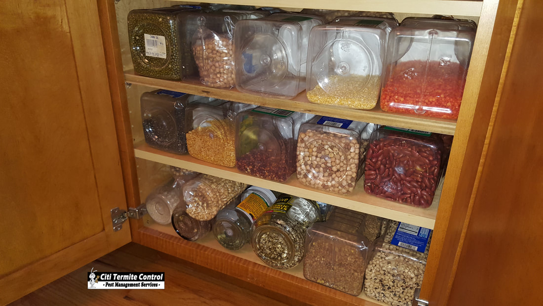 A cabinet showing ways to store your food product to avoid pantry pests.