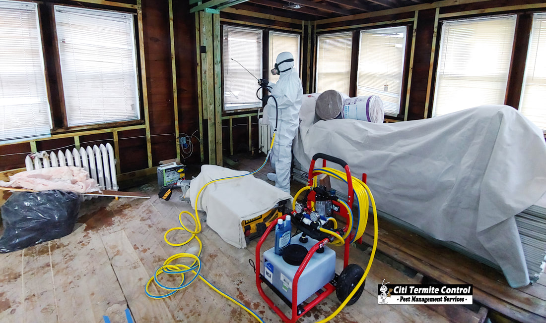 A termite technician performing a wood treatment against termite inside of a house that is currently being renovating.