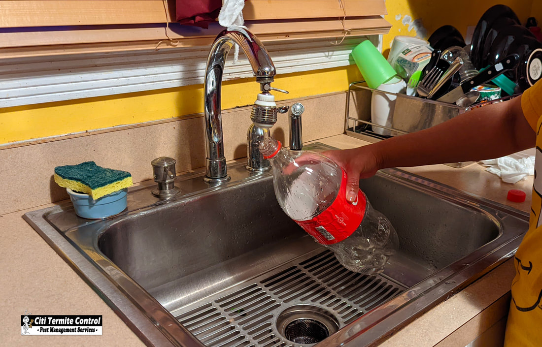 Someone rinsing a soda bottle in a sink to prevent insects in a home.