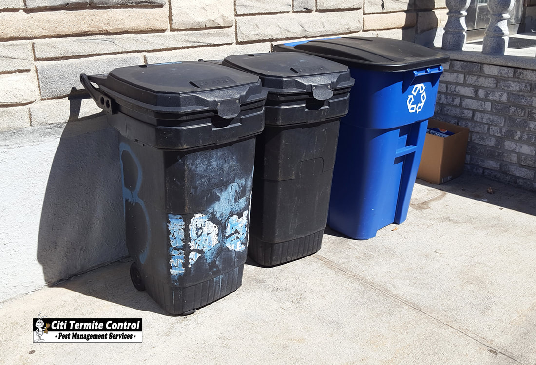 Garbage containers with lids close to a home.
