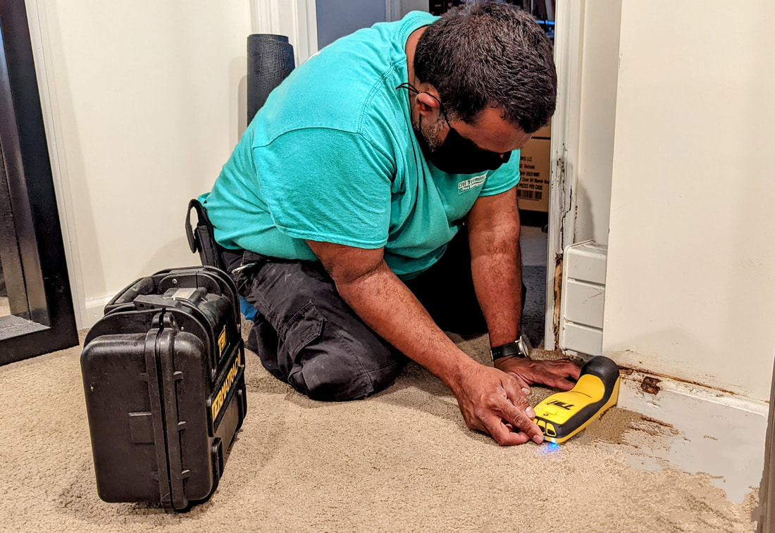 A pest control officer checking a termite bait station for any termite activity.